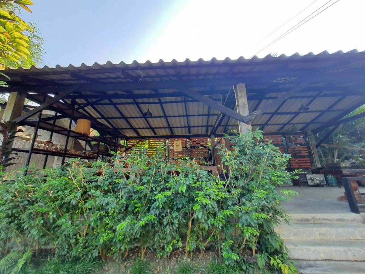 Nokkamin Home צ'יאנג דאו מראה חיצוני תמונה
