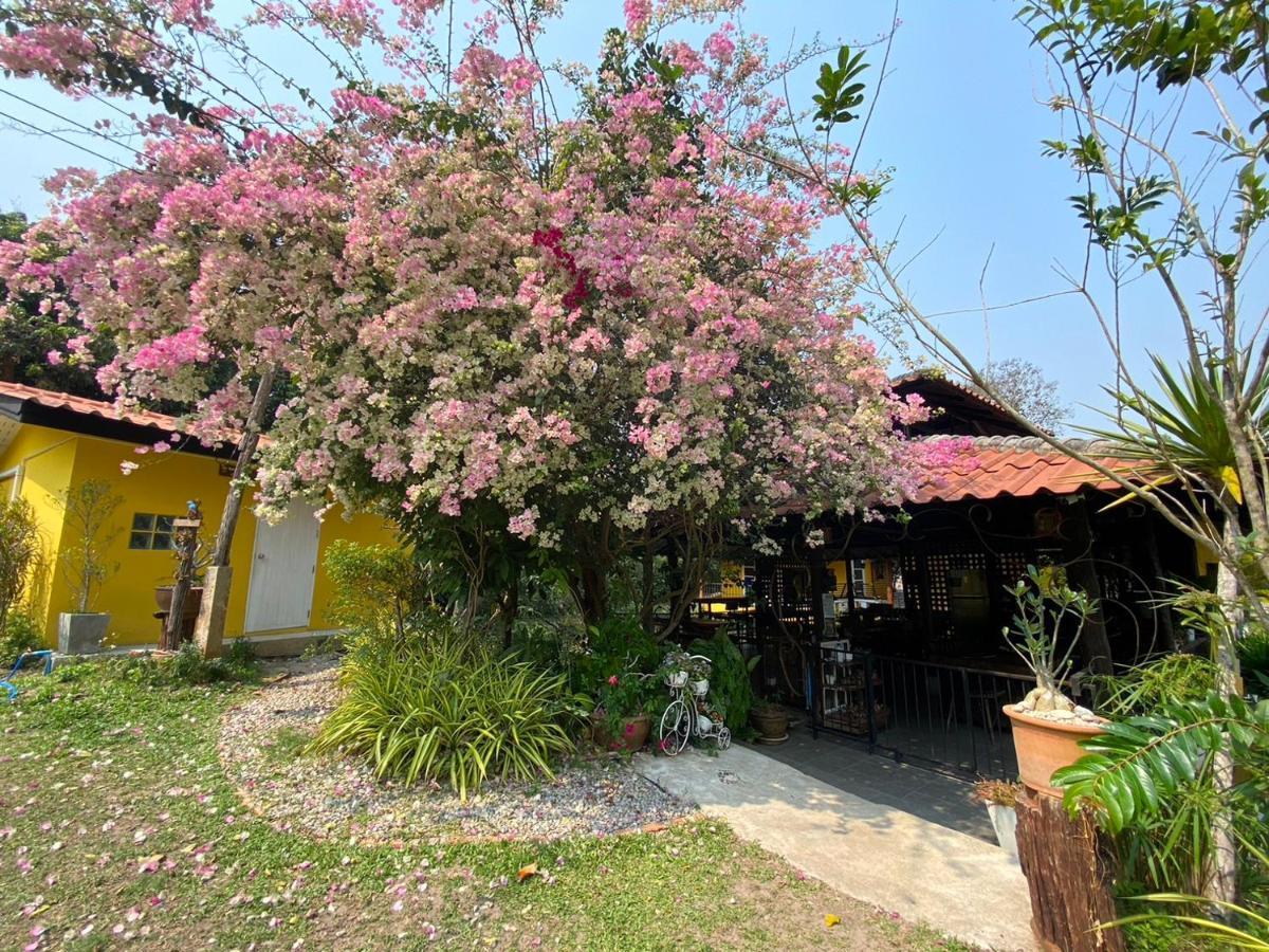 Nokkamin Home צ'יאנג דאו מראה חיצוני תמונה