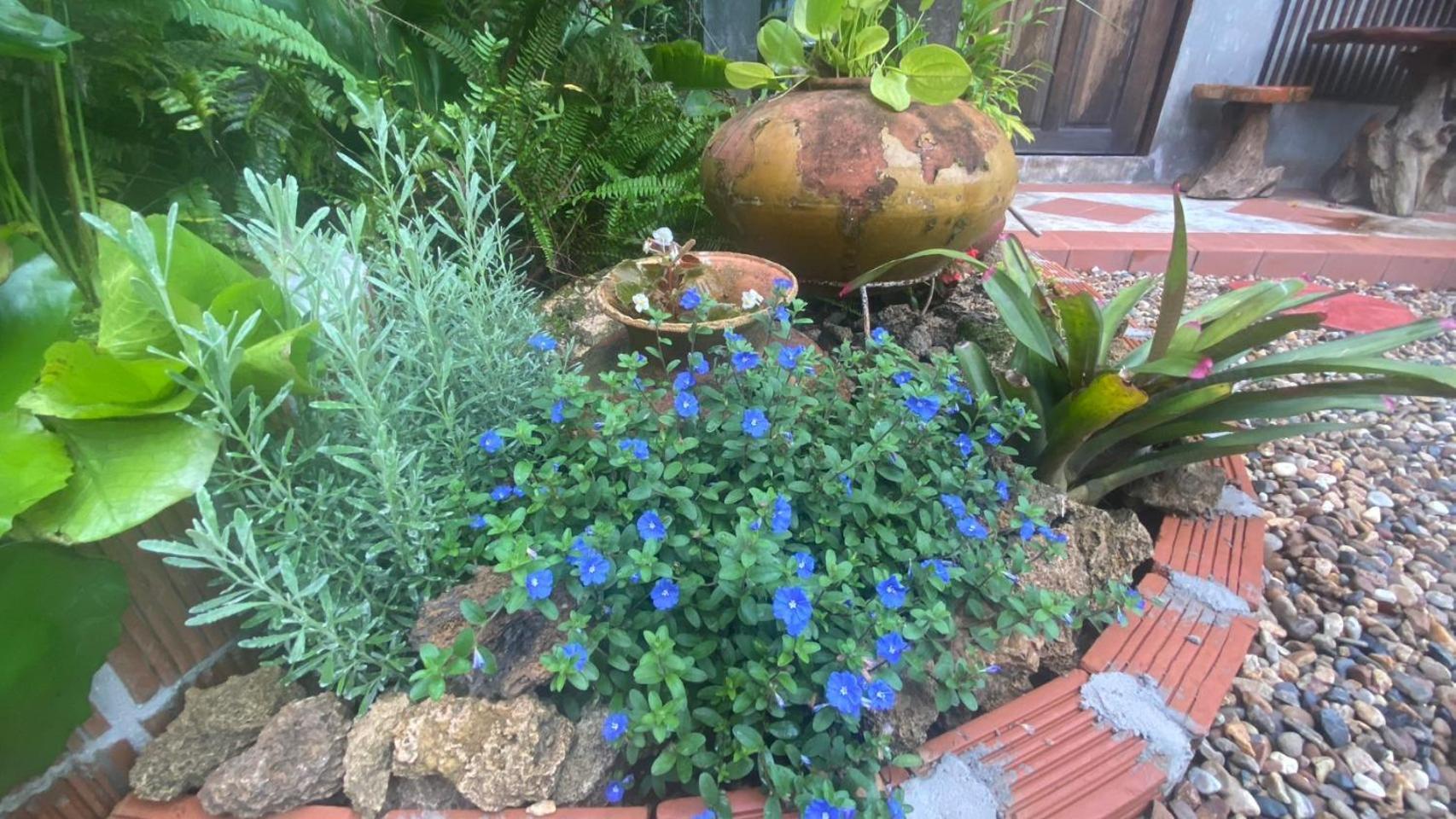 Nokkamin Home צ'יאנג דאו מראה חיצוני תמונה